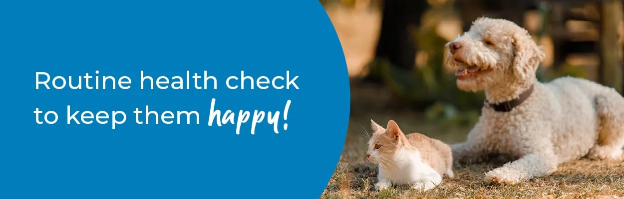 Annual Health Checks | Pet Health Check | Alder Vets