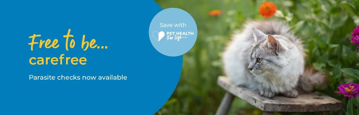 Flea and Worm Treatment For Pets | Alder Vets