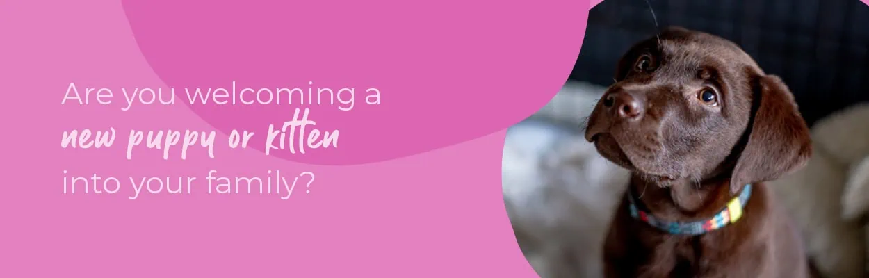 New Puppy or Kitten | Start of Life for Pets | Alder Vets