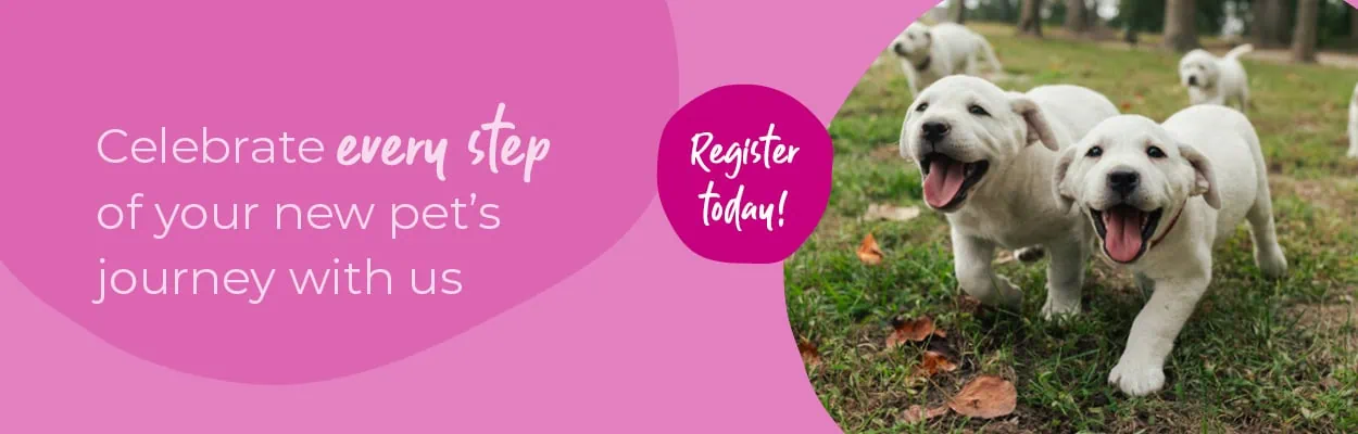 New Puppy or Kitten | Start of Life for Pets | Alder Vets